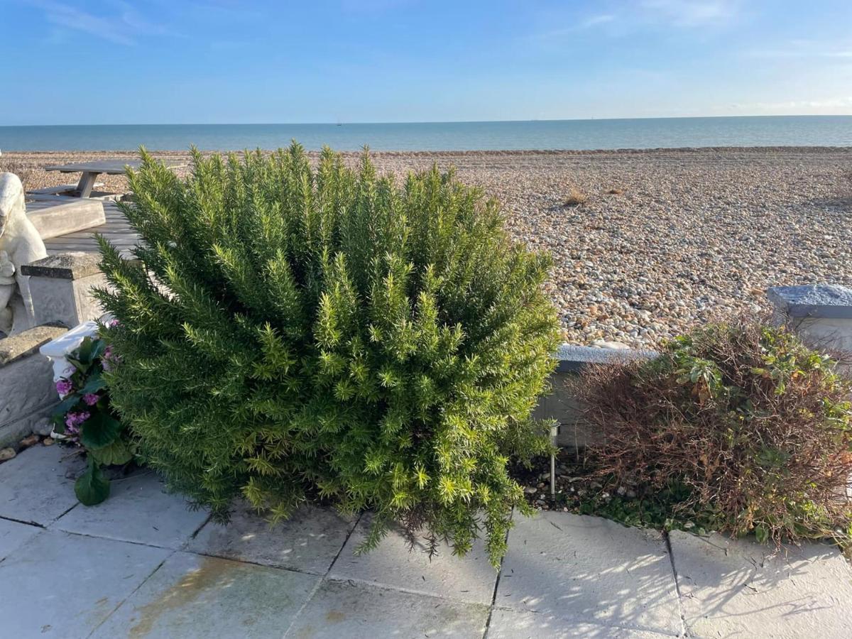 Coastview Bungalow 페번시 외부 사진